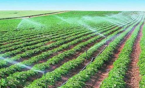 狂插女人视频直播农田高 效节水灌溉